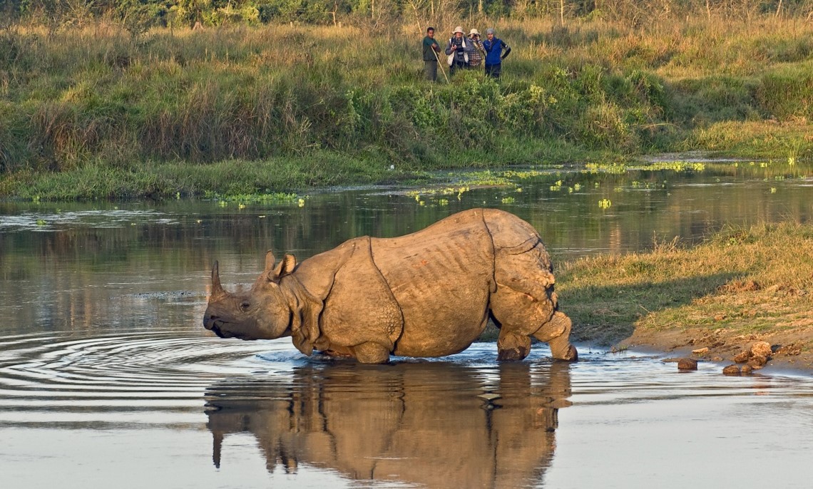 Chitwan Jungle Safari